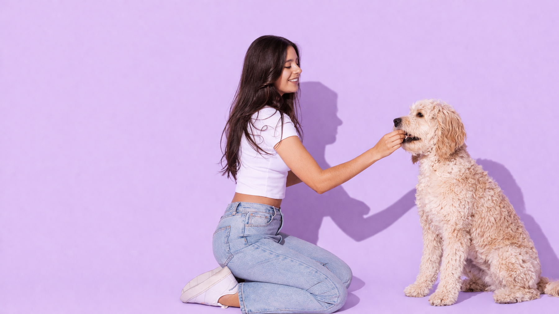 Conçu pour chaque chien